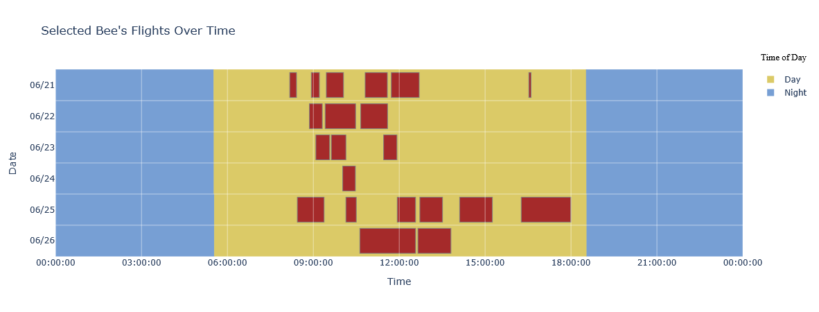 Descripción de ViBEx